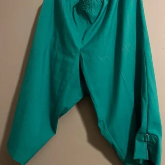 capris - Picture 4 of 5